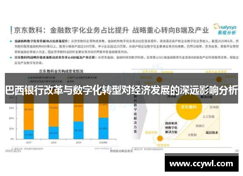 巴西银行改革与数字化转型对经济发展的深远影响分析