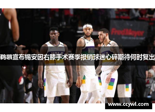 鹈鹕宣布锡安因右膝手术赛季报销球迷心碎期待何时复出