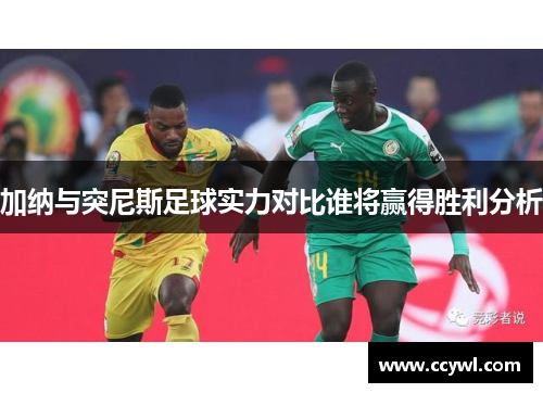 加纳与突尼斯足球实力对比谁将赢得胜利分析
