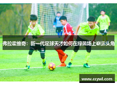 弗拉霍维奇：新一代足球天才如何在绿茵场上崭露头角