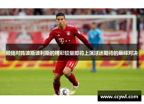 赖扬对阵波斯波利斯的精彩较量即将上演球迷期待的巅峰对决